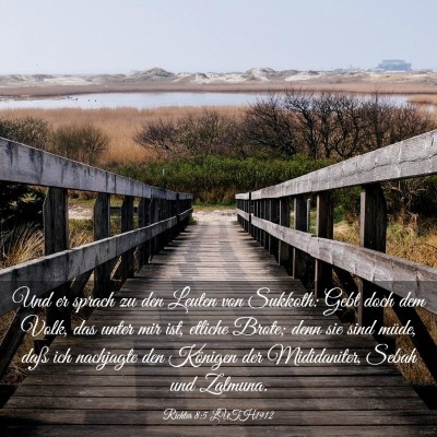 Picture 03 - Richter 8:5 LUTH1912 - Und er sprach zu den Leuten von Sukkoth: Gebt - Bible Verse Picture