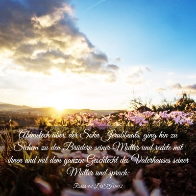 Picture 03 - Richter 9:1 LUTH1912 - Abimelech aber, der Sohn Jerubbaals, ging hin zu - Bible Verse Picture