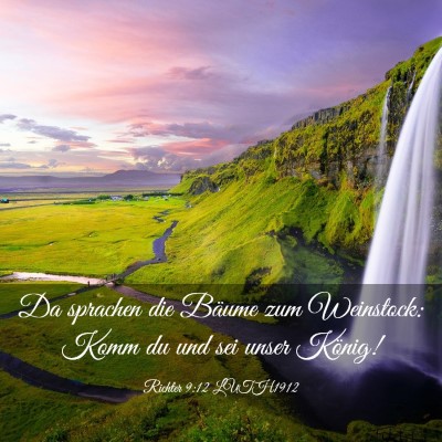 Picture 03 - Richter 9:12 LUTH1912 - Da sprachen die Bäume zum Weinstock: Komm du und - Bible Verse Picture