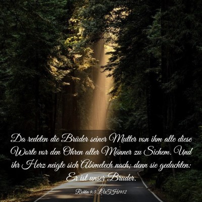 Picture 03 - Richter 9:3 LUTH1912 - Da redeten die Brüder seiner Mutter von ihm alle - Bible Verse Picture