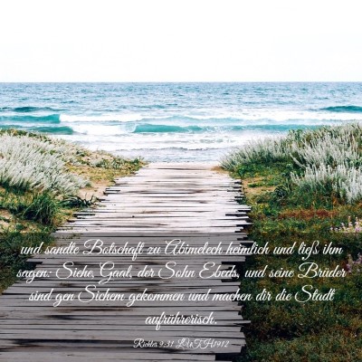 Picture 03 - Richter 9:31 LUTH1912 - und sandte Botschaft zu Abimelech heimlich und - Bible Verse Picture