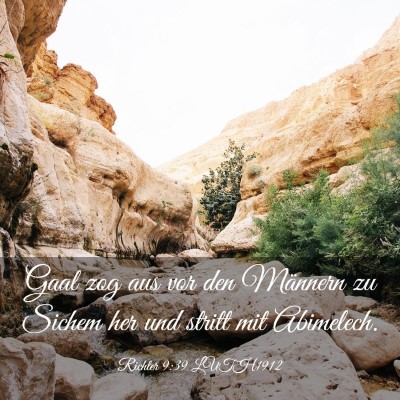 Picture 03 - Richter 9:39 LUTH1912 - Gaal zog aus vor den Männern zu Sichem her und - Bible Verse Picture