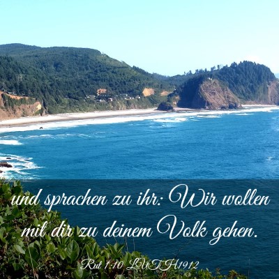 Picture 03 - Rut 1:10 LUTH1912 - und sprachen zu ihr: Wir wollen mit dir zu deinem - Bible Verse Picture