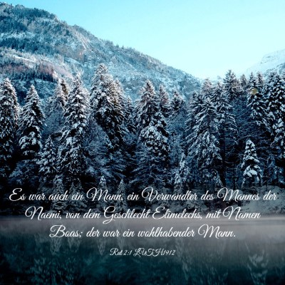 Picture 03 - Rut 2:1 LUTH1912 - Es war auch ein Mann, ein Verwandter des Mannes - Bible Verse Picture