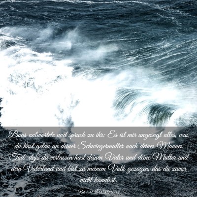 Picture 03 - Rut 2:11 LUTH1912 - Boas antwortete und sprach zu ihr: Es ist mir - Bible Verse Picture