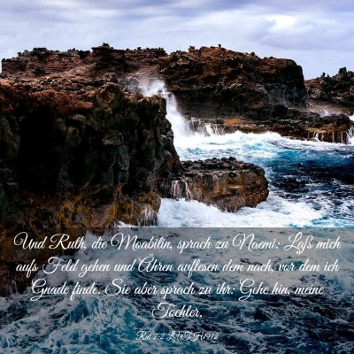 Picture 03 - Rut 2:2 LUTH1912 - Und Ruth, die Moabitin, sprach zu Naemi: Laß - Bible Verse Picture