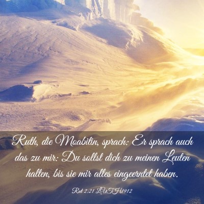 Picture 03 - Rut 2:21 LUTH1912 - Ruth, die Moabitin, sprach: Er sprach auch das zu - Bible Verse Picture