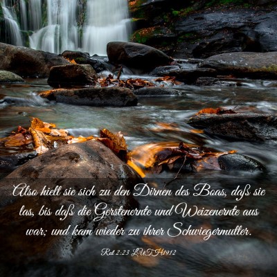 Picture 03 - Rut 2:23 LUTH1912 - Also hielt sie sich zu den Dirnen des Boas, daß - Bible Verse Picture