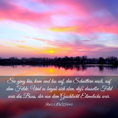 Picture 03 - Rut 2:3 LUTH1912 - Sie ging hin, kam und las auf, den Schnittern - Bible Verse Picture
