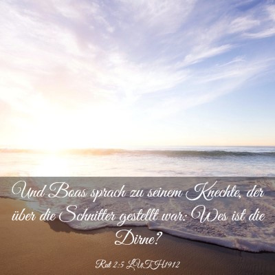 Picture 03 - Rut 2:5 LUTH1912 - Und Boas sprach zu seinem Knechte, der über die - Bible Verse Picture