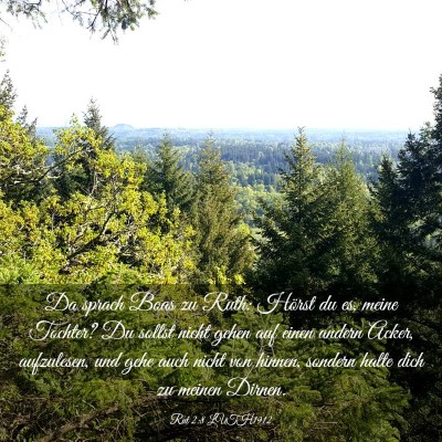 Picture 03 - Rut 2:8 LUTH1912 - Da sprach Boas zu Ruth: Hörst du es, meine - Bible Verse Picture