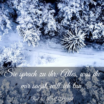 Picture 03 - Rut 3:5 LUTH1912 - Sie sprach zu ihr: Alles, was du mir sagst, will - Bible Verse Picture