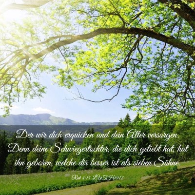 Picture 03 - Rut 4:15 LUTH1912 - Der wir dich erquicken und dein Alter versorgen. - Bible Verse Picture