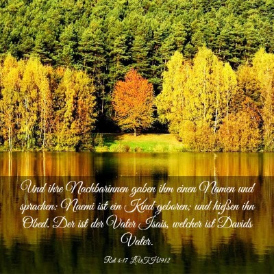 Picture 03 - Rut 4:17 LUTH1912 - Und ihre Nachbarinnen gaben ihm einen Namen und - Bible Verse Picture