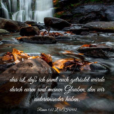 Picture 03 - Römer 1:12 LUTH1912 - das ist, daß ich samt euch getröstet würde - Bible Verse Picture