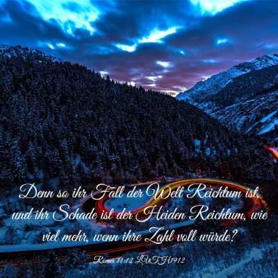 Picture 03 - Römer 11:12 LUTH1912 - Denn so ihr Fall der Welt Reichtum ist, und ihr - Bible Verse Picture