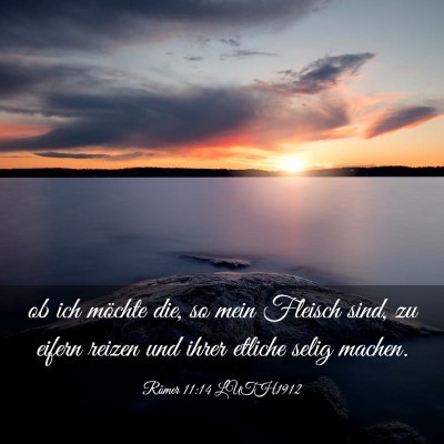 Picture 03 - Römer 11:14 LUTH1912 - ob ich möchte die, so mein Fleisch sind, zu - Bible Verse Picture