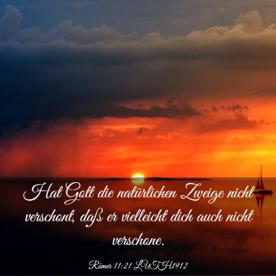 Picture 03 - Römer 11:21 LUTH1912 - Hat Gott die natürlichen Zweige nicht verschont, - Bible Verse Picture