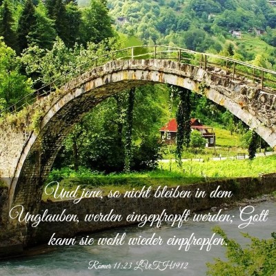 Picture 03 - Römer 11:23 LUTH1912 - Und jene, so nicht bleiben in dem Unglauben, - Bible Verse Picture