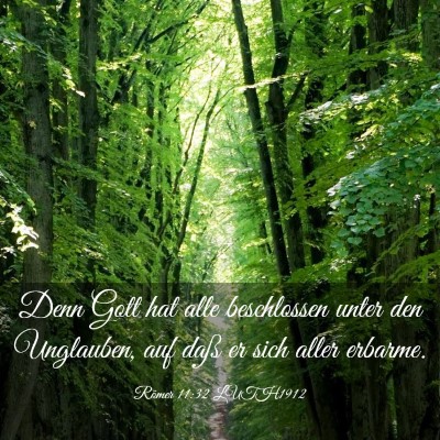 Picture 03 - Römer 11:32 LUTH1912 - Denn Gott hat alle beschlossen unter den - Bible Verse Picture