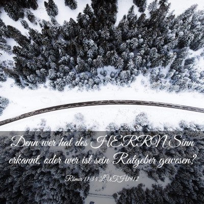 Picture 03 - Römer 11:34 LUTH1912 - Denn wer hat des HERRN Sinn erkannt, oder wer ist - Bible Verse Picture