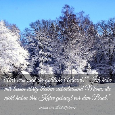 Picture 03 - Römer 11:4 LUTH1912 - Aber was sagt die göttliche Antwort? “Ich habe - Bible Verse Picture