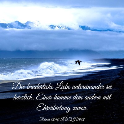 Picture 03 - Römer 12:10 LUTH1912 - Die brüderliche Liebe untereinander sei - Bible Verse Picture