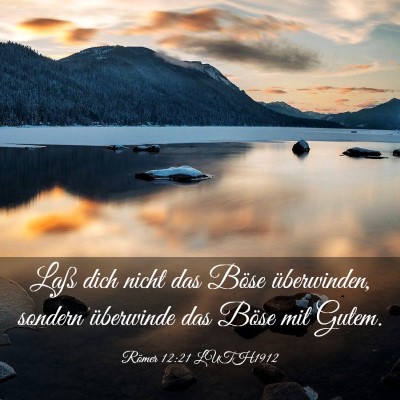 Picture 03 - Römer 12:21 LUTH1912 - Laß dich nicht das Böse überwinden, sondern - Bible Verse Picture