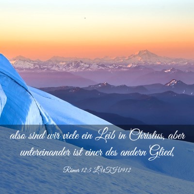 Picture 03 - Römer 12:5 LUTH1912 - also sind wir viele ein Leib in Christus, aber - Bible Verse Picture