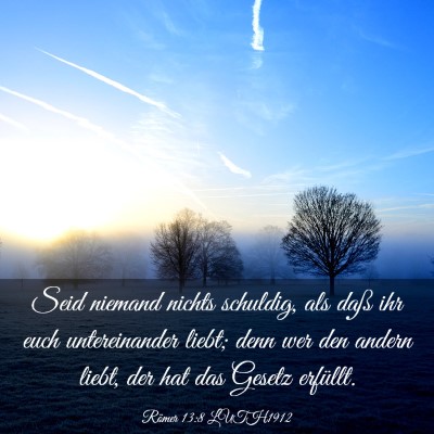 Picture 03 - Römer 13:8 LUTH1912 - Seid niemand nichts schuldig, als daß ihr euch - Bible Verse Picture
