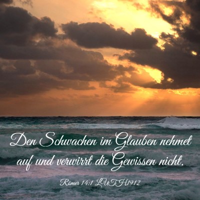 Picture 03 - Römer 14:1 LUTH1912 - Den Schwachen im Glauben nehmet auf und verwirrt - Bible Verse Picture