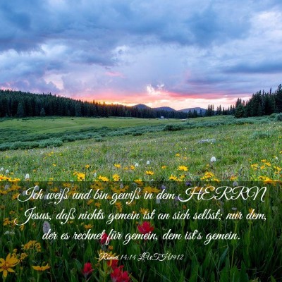 Picture 03 - Römer 14:14 LUTH1912 - Ich weiß und bin gewiß in dem HERRN Jesus, daß - Bible Verse Picture