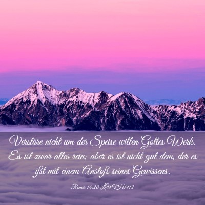 Picture 03 - Römer 14:20 LUTH1912 - Verstöre nicht um der Speise willen Gottes Werk. - Bible Verse Picture