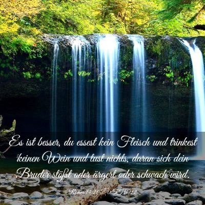 Picture 03 - Römer 14:21 LUTH1912 - Es ist besser, du essest kein Fleisch und - Bible Verse Picture