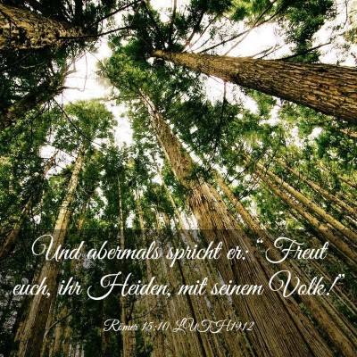 Picture 03 - Römer 15:10 LUTH1912 - Und abermals spricht er: “Freut euch, ihr - Bible Verse Picture