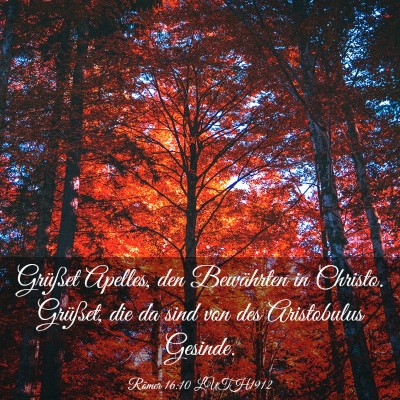 Picture 03 - Römer 16:10 LUTH1912 - Grüßet Apelles, den Bewährten in Christo. - Bible Verse Picture