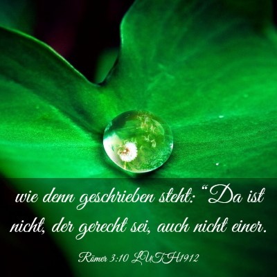 Picture 03 - Römer 3:10 LUTH1912 - wie denn geschrieben steht: “Da ist nicht, der - Bible Verse Picture