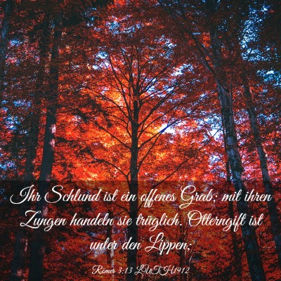Picture 03 - Römer 3:13 LUTH1912 - Ihr Schlund ist ein offenes Grab; mit ihren - Bible Verse Picture
