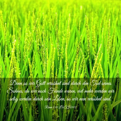 Picture 03 - Römer 5:10 LUTH1912 - Denn so wir Gott versöhnt sind durch den Tod - Bible Verse Picture