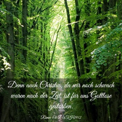 Picture 03 - Römer 5:6 LUTH1912 - Denn auch Christus, da wir noch schwach waren - Bible Verse Picture