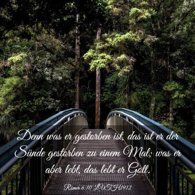 Picture 03 - Römer 6:10 LUTH1912 - Denn was er gestorben ist, das ist er der Sünde - Bible Verse Picture