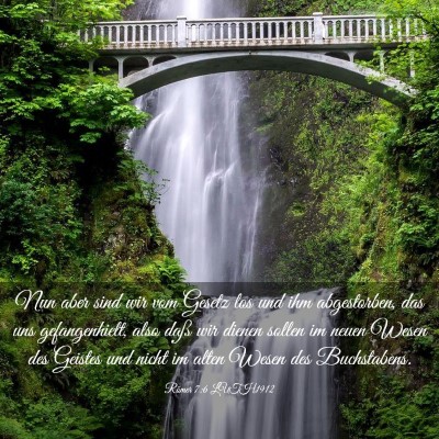 Picture 03 - Römer 7:6 LUTH1912 - Nun aber sind wir vom Gesetz los und ihm - Bible Verse Picture