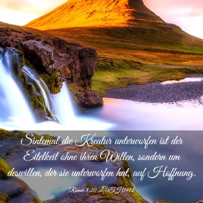 Picture 03 - Römer 8:20 LUTH1912 - Sintemal die Kreatur unterworfen ist der - Bible Verse Picture