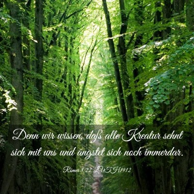 Picture 03 - Römer 8:22 LUTH1912 - Denn wir wissen, daß alle Kreatur sehnt sich mit - Bible Verse Picture