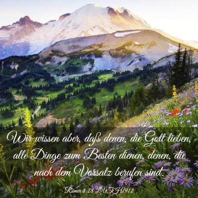 Picture 03 - Römer 8:28 LUTH1912 - Wir wissen aber, daß denen, die Gott lieben, - Bible Verse Picture