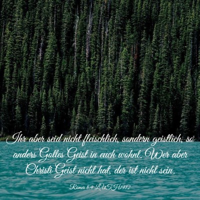 Picture 03 - Römer 8:9 LUTH1912 - Ihr aber seid nicht fleischlich, sondern - Bible Verse Picture