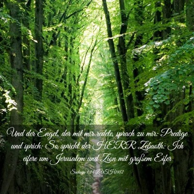 Picture 03 - Sacharja 1:14 LUTH1912 - Und der Engel, der mit mir redete, sprach zu mir: - Bible Verse Picture