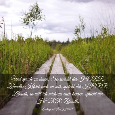 Picture 03 - Sacharja 1:3 LUTH1912 - Und sprich zu ihnen: So spricht der HERR Zebaoth: - Bible Verse Picture