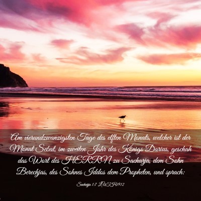 Picture 03 - Sacharja 1:7 LUTH1912 - Am vierundzwanzigsten Tage des elften Monats, - Bible Verse Picture