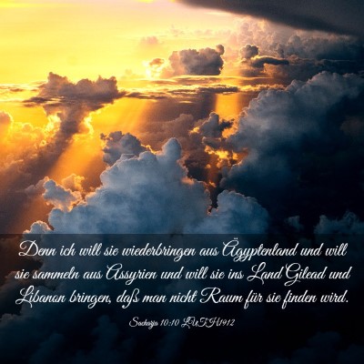 Picture 03 - Sacharja 10:10 LUTH1912 - Denn ich will sie wiederbringen aus Ägyptenland - Bible Verse Picture